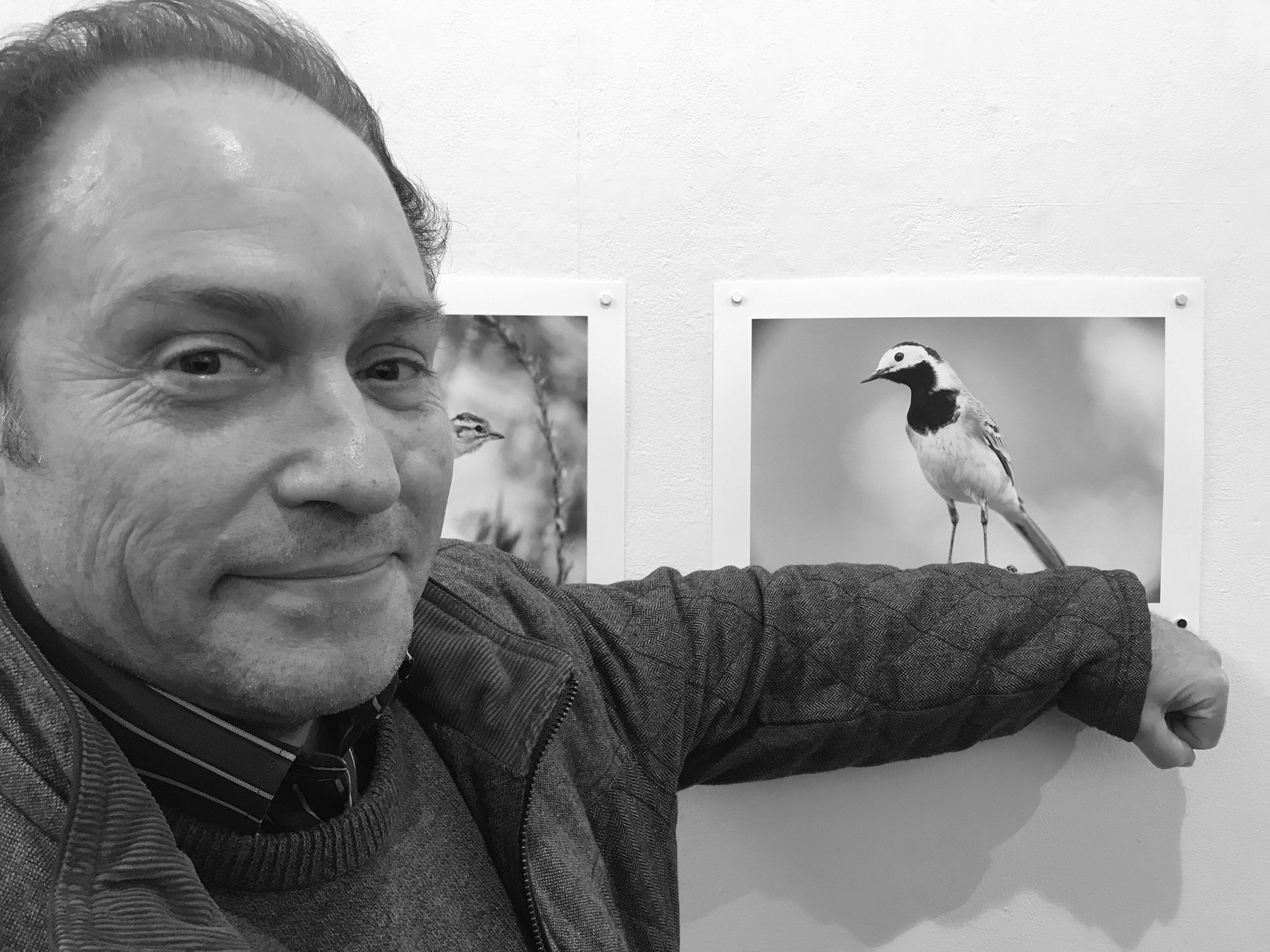 L’òptic optometrista Pedro Martín clausura la seva exposició fotogràfica Birds B&W